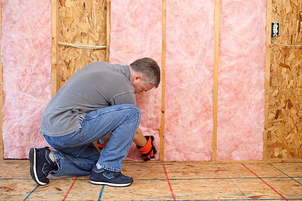 Best Residential Insulation Services  in Penbrook, PA